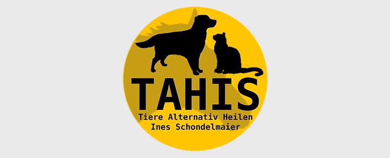 TAHIS Hundephysiotherapie für Hunde in Chemnitz.