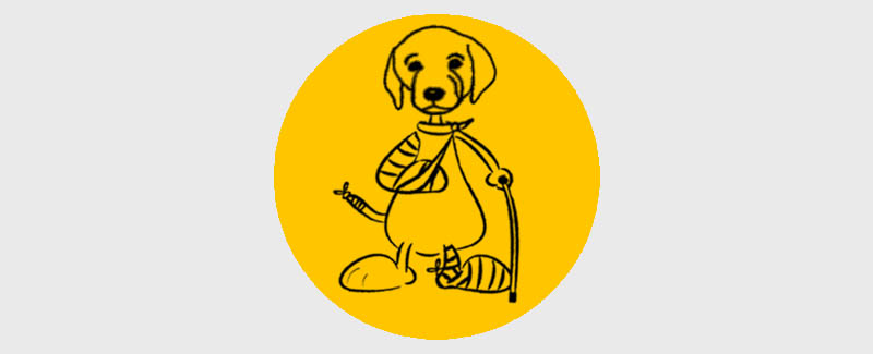 Hundephysiotherapie TAHIS - Comicbild Kranker Hund