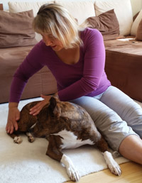 Frau Schondelmaier Physiotherapeutin für Hunde